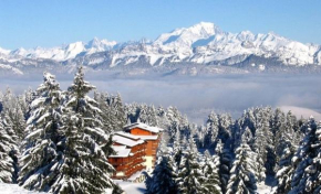 Отель Le Mont Blanc Résidence, Тревиньен